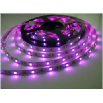 High Lumen Purple Rope Light