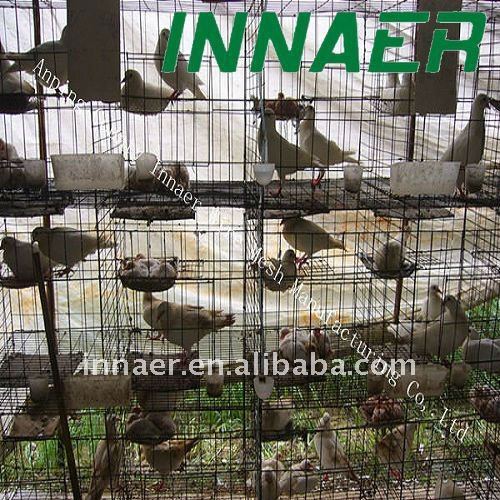 INNAER Professional production pigeon layer cages for pigeon poultry