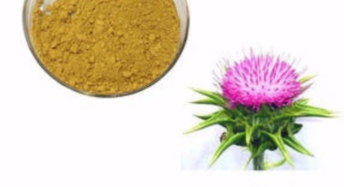 Milk Thistle Extract Png