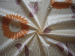 100% Polyester Printed Fabric 
