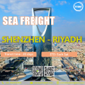 Freight international de la mer de Shenzhen à Riyad Saudi Arabie