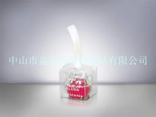 Transparent Folding Boxes
