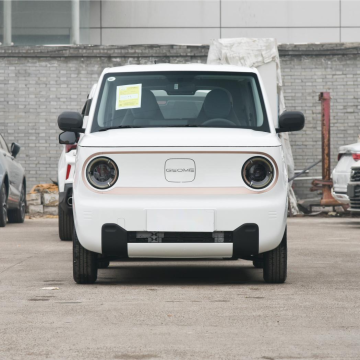 Electric Pickup: Super Smart Mini Car for Adults - Aodahang Electric Quadricycle