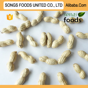 Peanut Inshell For Traditional Variety new crop