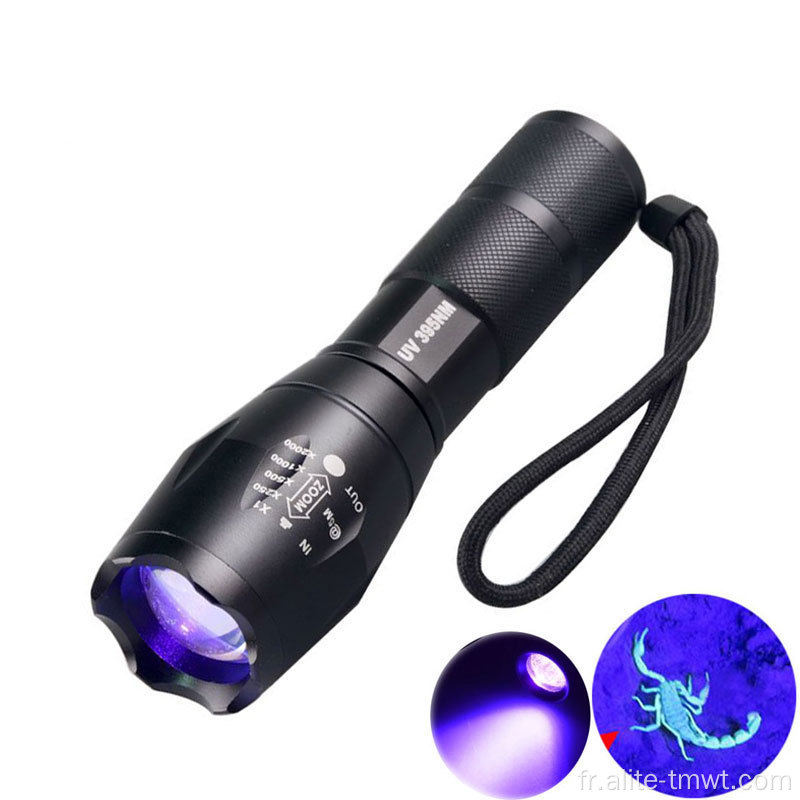 Lampe de poche UV Torche à LED Ultra Violet haute puissance