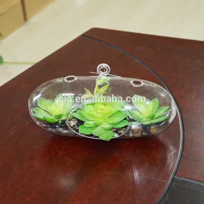 Hanging Boyu Terrarium Artificial Plants Succulent Plant