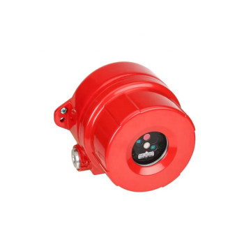 FS20X-211-21-2 Detector