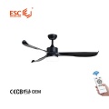 WiFi ceiling fan with remote and wall control