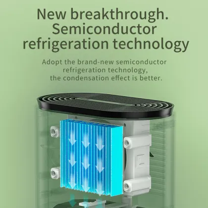 Mini Portable Quiet Moisture Absorber Dehumidifier for Home