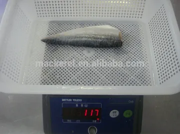 Frozen Mackerel Fish Frozen Pacific Mackerel Fillet