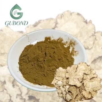 Chuanxiong Extract for Dietary Supplements