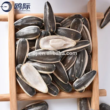 Inner Mongolia crop big size sunflower seed