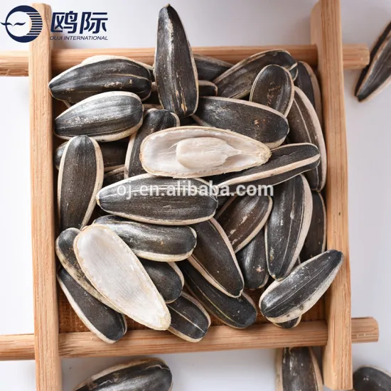 Inner Mongolia crop big size sunflower seed