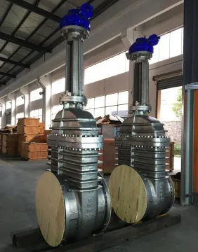 API 600 Stainless Steel Gate Valve