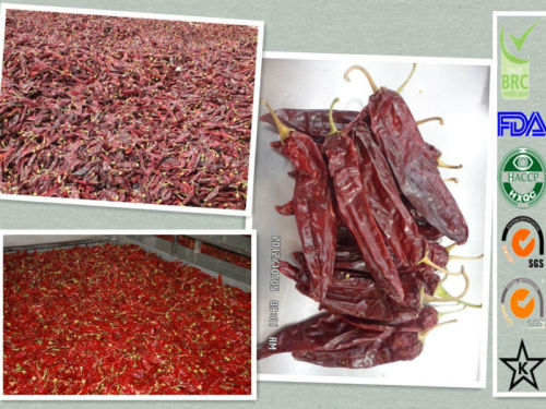 supply dry red sweet Paprika pods with good quality and high quantity