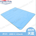 Outdoor four seasons general thick moisture-proof sand mat