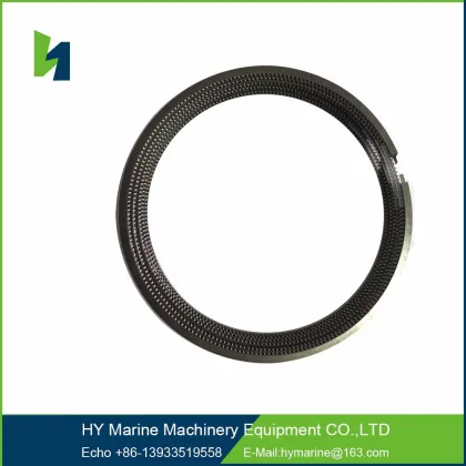 Piston Ring for 6HA Ship Engine