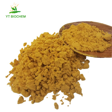 Free sample organic sea buckthorn fruit powder