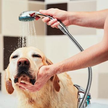 Flexible Shower Hose Connection shower handy