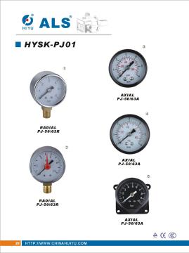 Pressure Gauge (HYSK-PJ01)