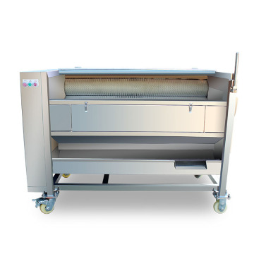 Máquina de lavar cenoura industrial