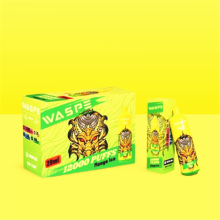 Vape desechable Price al por mayor Waspe 12000 Alemania