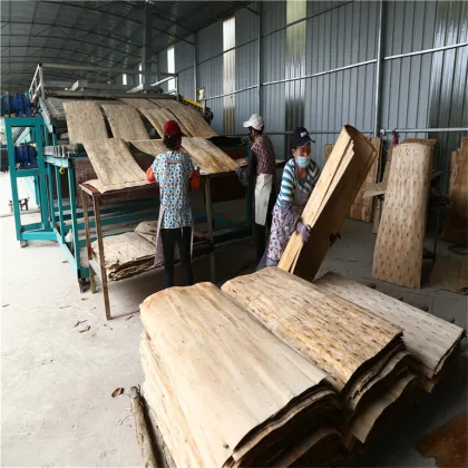 New Technology Of Wood Dryer
