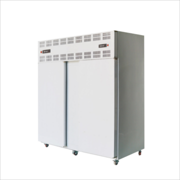 China-Made 1000 Kg Blast Freezer for Hot Selling Seafood