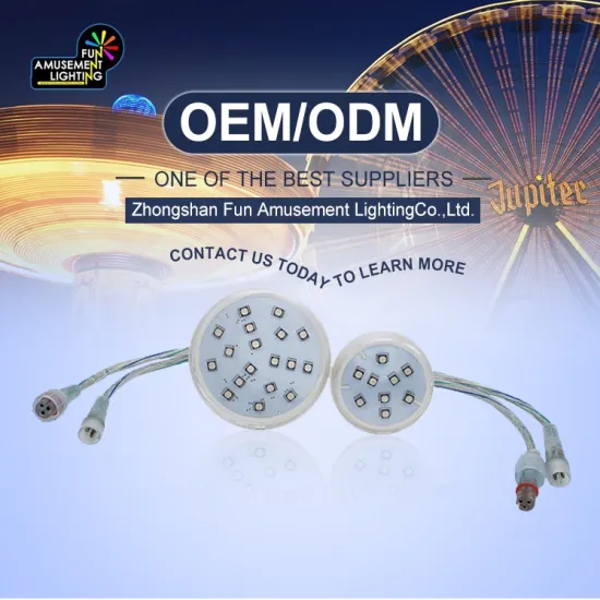 Programmable LED Christmas Lighting for Outdoor Decorations