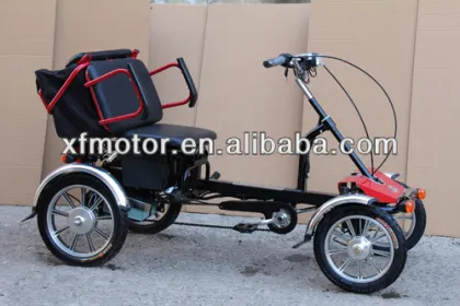 new electric tricycle for old couple