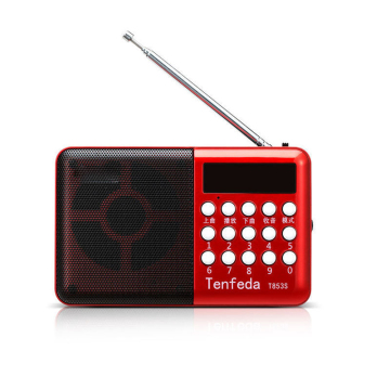 Portable Mini Radio Speaker with FM - Christmas Gifts