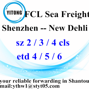 Shenzhen Global Freight Agent to New Dehli