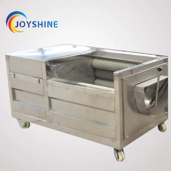 Multifunctional fruit and vegetable Roller Washer machine