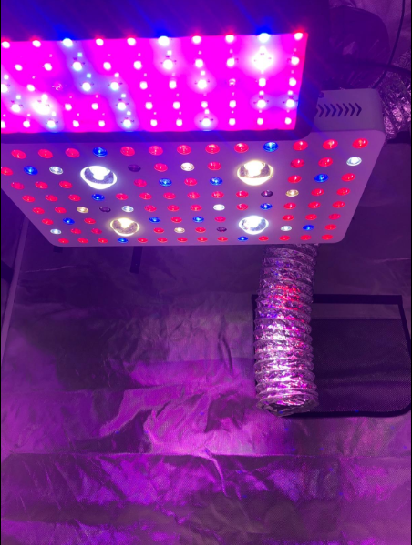 LED COB GROW LIGHTS C/W Controller