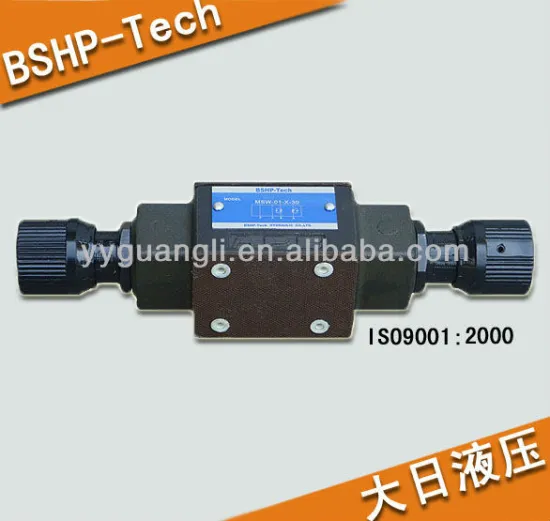Throttle and Check Modular Valves MSW