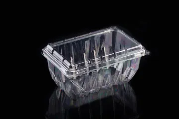 Clear Plastic Clamshell Container