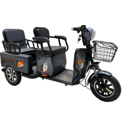 EEC Electric Tricycles: Elderly-Assisted Passenger Scooters