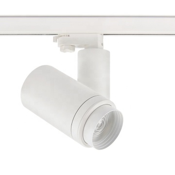 RONSE 30W Adjustable Beam Angle COB LED Track Light