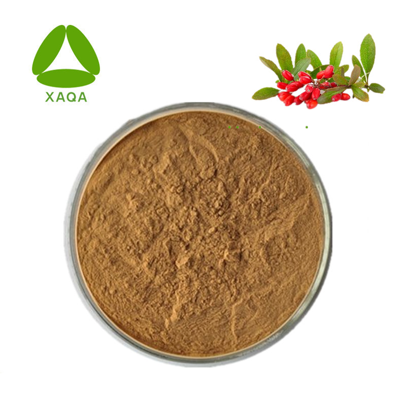 Coptis Chinensis Extract