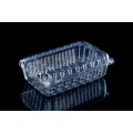 Plastic Container for Food Packaging