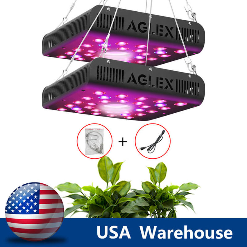 Miglior LED Grow Light 600W per erbe da interni