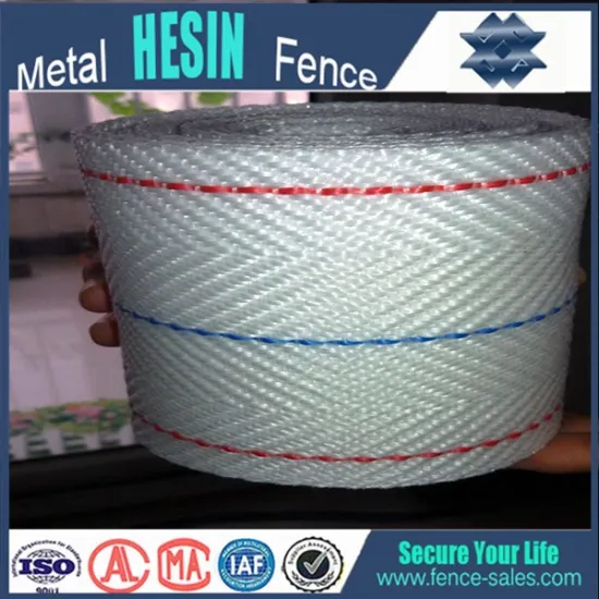 China High Caprice Polypropylene Egg Woven Conveyor Belt