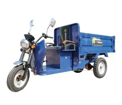 Electric Tricycle Agricultural Tricycle Turkey Bike Cargo Scooter 3 Wheel
