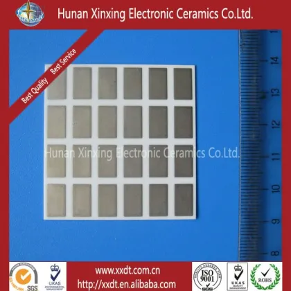 Integrated Ceramic Substrate