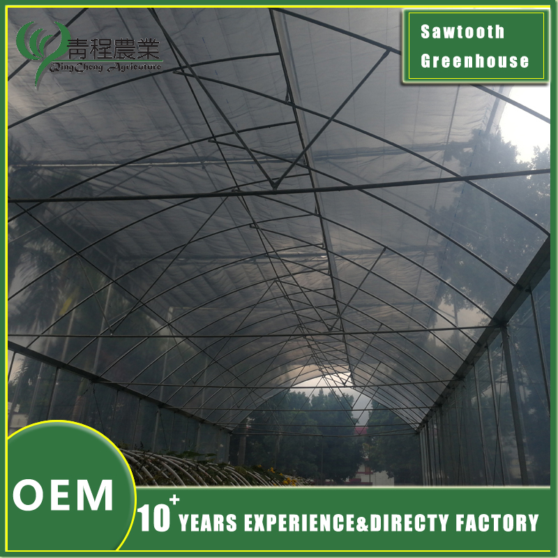 single sawtooth greenhouse structure
