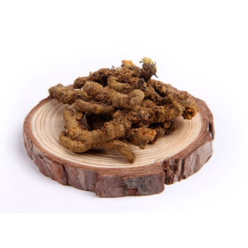 Chinese herbal Medicine for gastroenteritis