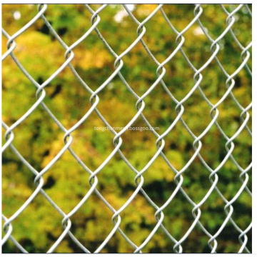 Galvanized Chain Link Mesh