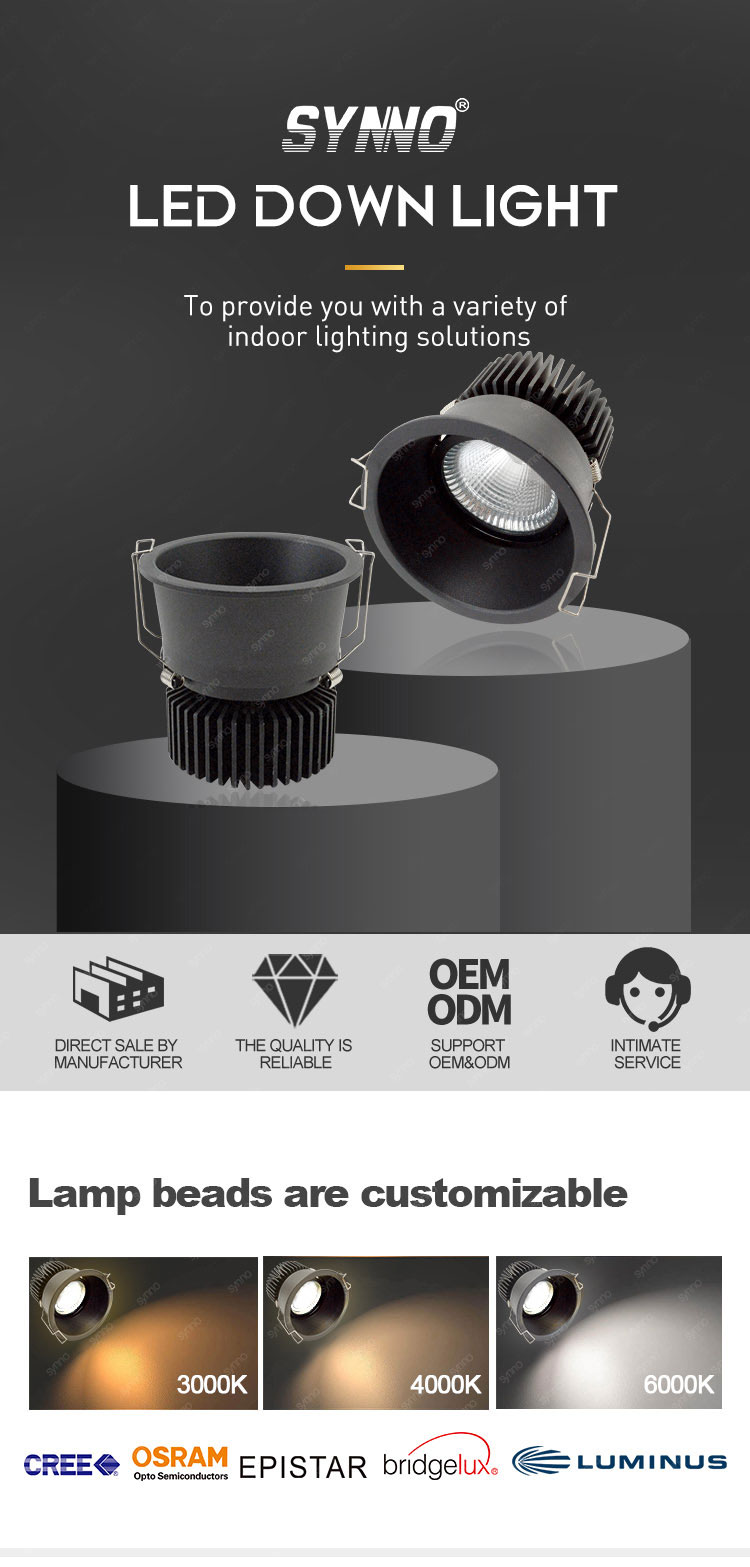 Black Led Downlight