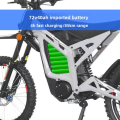 MZ24 Electric Dirt Bike