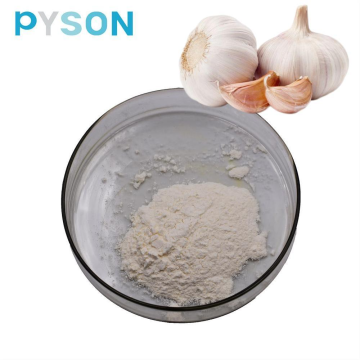 Garlic Extract powder Allicin 1%